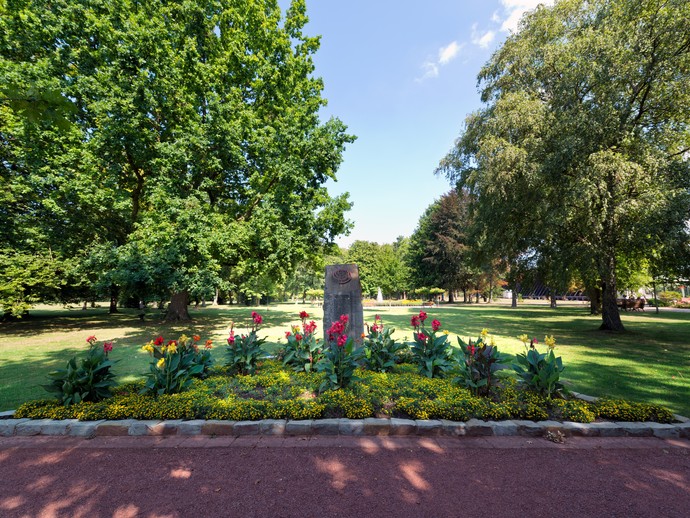 Wildblumenwiese im Kurpark Erwitte-Bad Westernkotten.