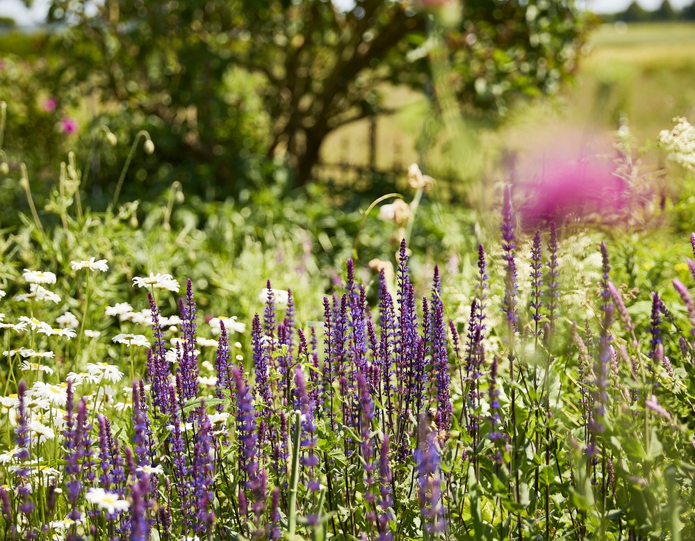 Tag der Gärten und Parks in Westfalen-Lippe 2023 - im Garten Brandt in Salzkotten