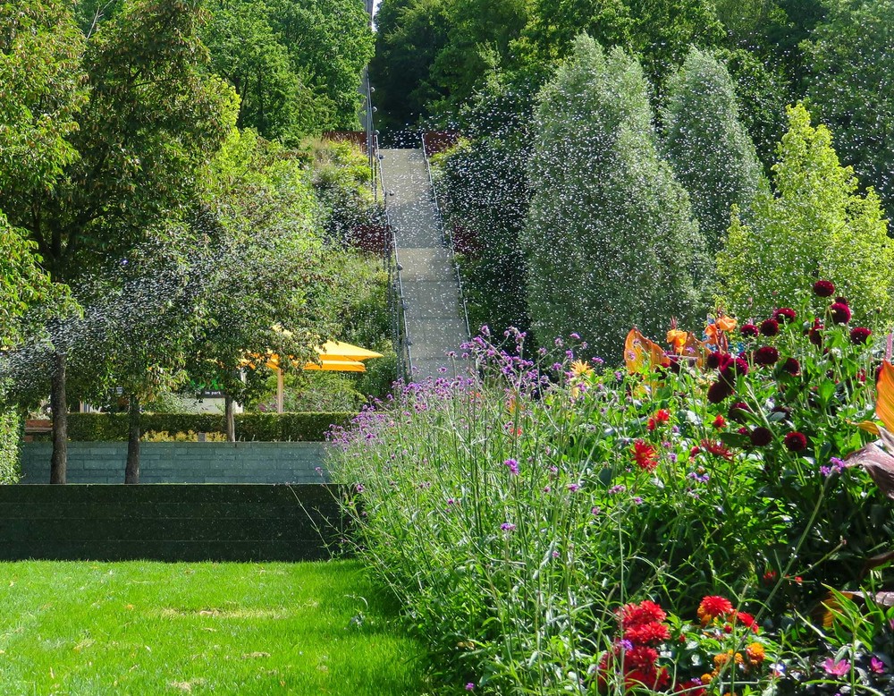 Die Pflanzenpracht im Sauerlandpark Hemer wird mit Wasser gesprenkelt. Im Hintergrund führt eine Treppe zum Jübergturm hoch.