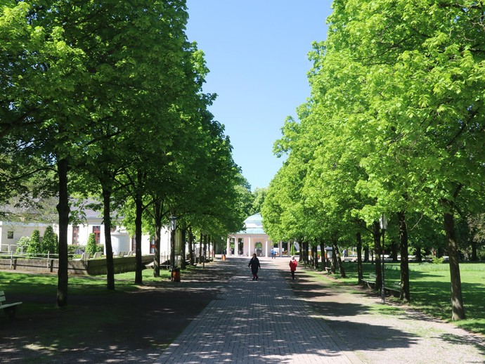 Baumallee im Kurpark Horn-Bad Meinberg. Im Hintergrund befindet sich der Brunnentempel.