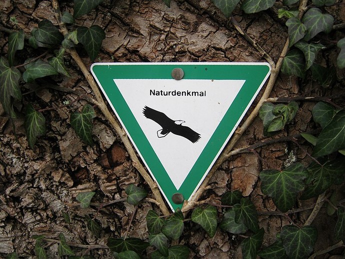 Schild "Naturdenkmal"