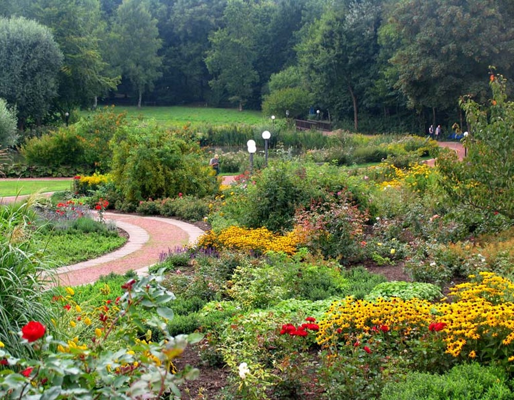 Blick auf den Rosengarten im Kurpark Bad Sassendorf.