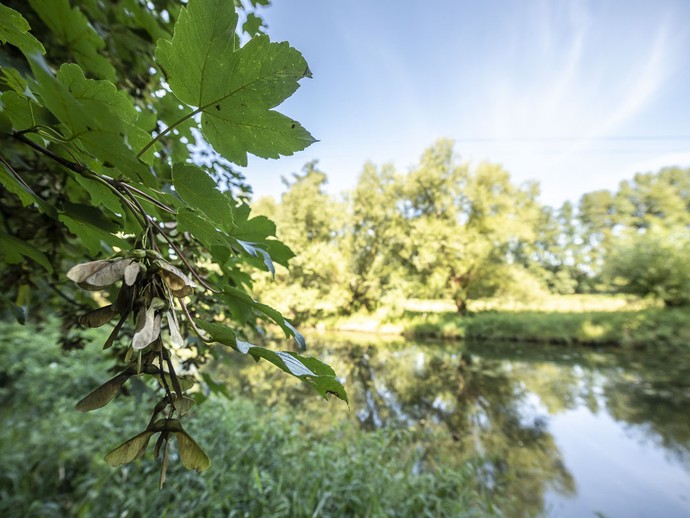 Sassenberg: Historischer Tiergarten