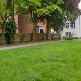 Warendorf, Historischer Garten