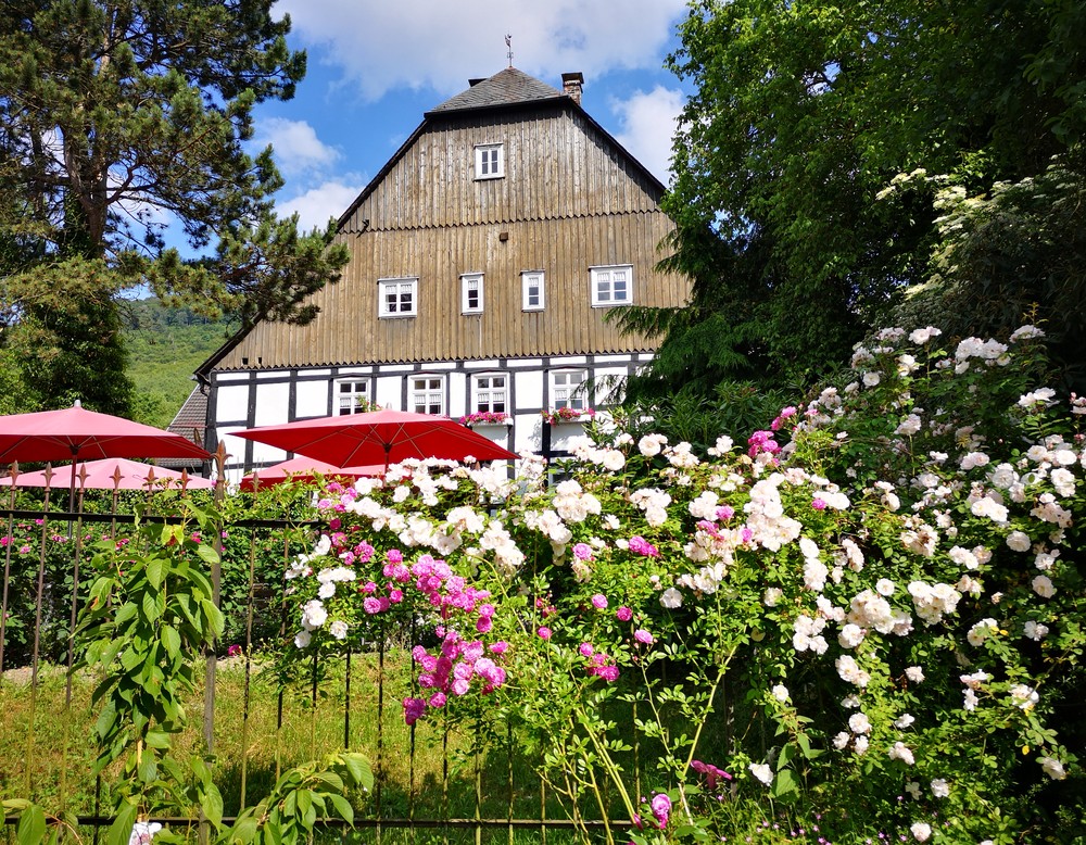 Olsberg: Sauerländer Blütengarten. Blick auf das anliegende Gutscafé.