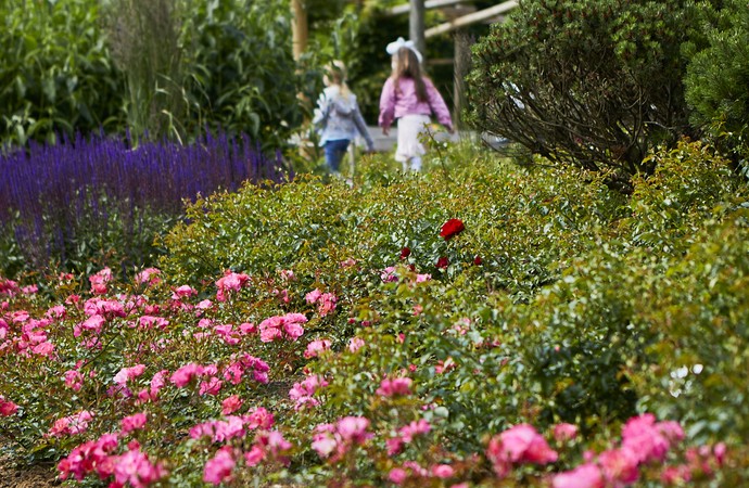 "Tage der Gärten und Parks in Westfalen-Lippe" Maximilianpark Hamm