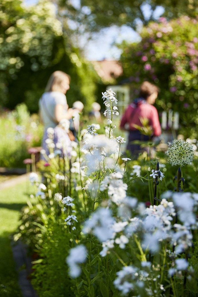 Blumen und Besucher:innen im Garten Bergschneider in Paderborn