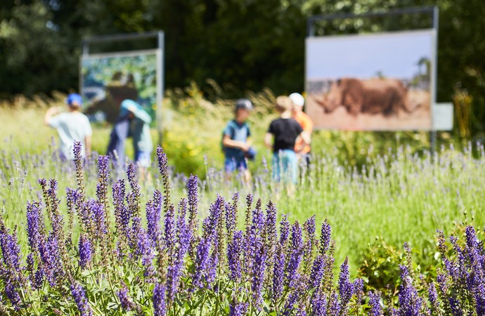 "Tage der Gärten und Parks in Westfalen-Lippe" Maximilianpark Hamm