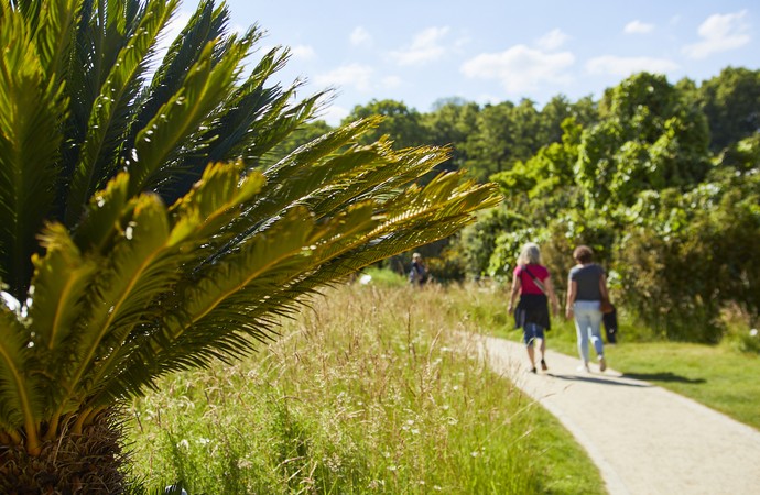 "Tage der Gärten und Parks in Westfalen-Lippe", Botanischer Garten Münster