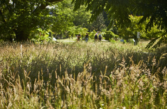 "Tage der Gärten und Parks in Westfalen-Lippe" Botanischer Garten Münster