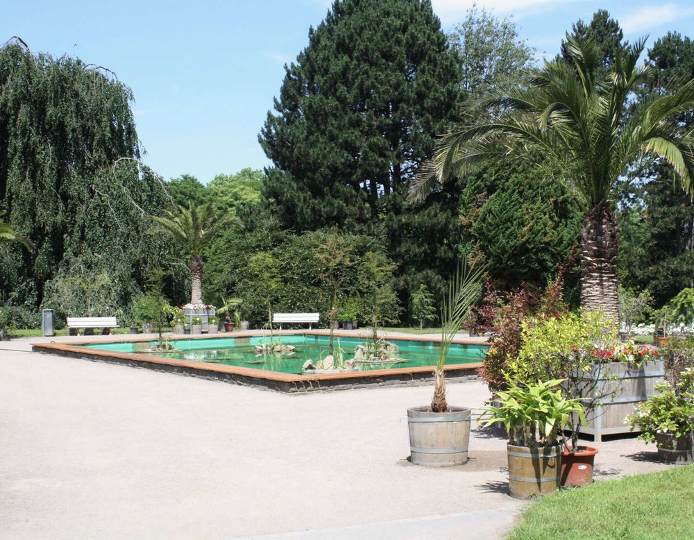 Wasserbecken an den Pflanzenschauhäusern des Botanischen Gartens Rombergpark.