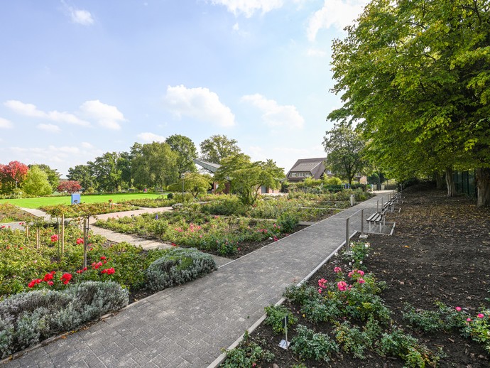 Lüdinghausen: Rosengarten Seppenrade