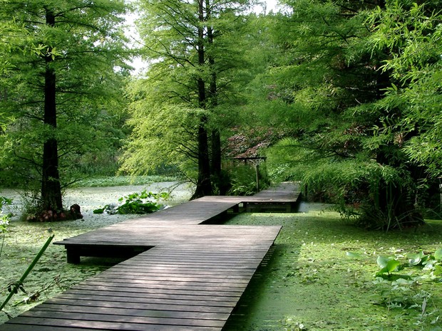 Botanischer Garten der Ruhr-Universität, Bochum