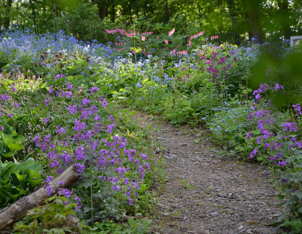 Garten Lang / Ritzenhöfer in Schwelm