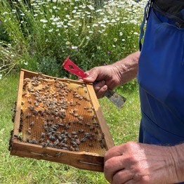 Imker mit Bienenstock