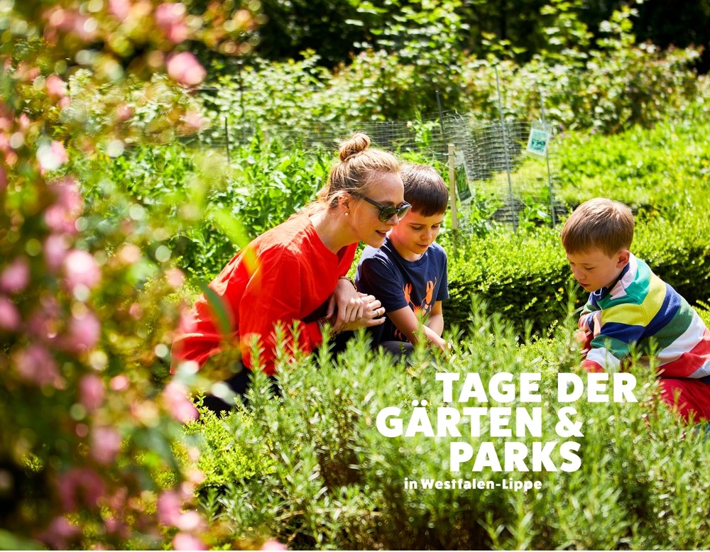 Garten Motiv mit Mutter und zwei Jungen, die im Beet Pflanzen entdecken "Tage der Gärten und Parks in Westfalen-Lippe"