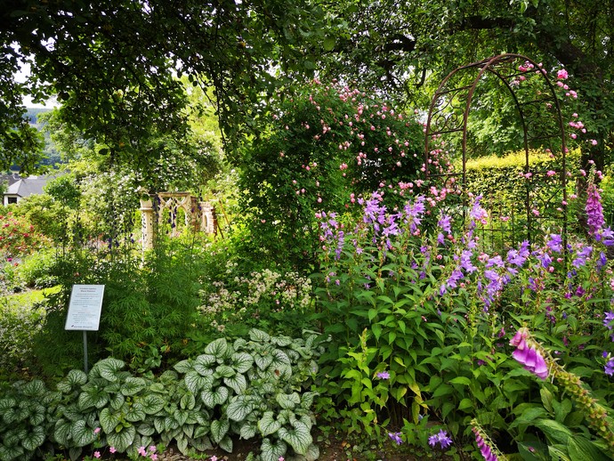 Olsberg: Sauerländer Blütengarten. Schattiger Abschnitt im Garten.