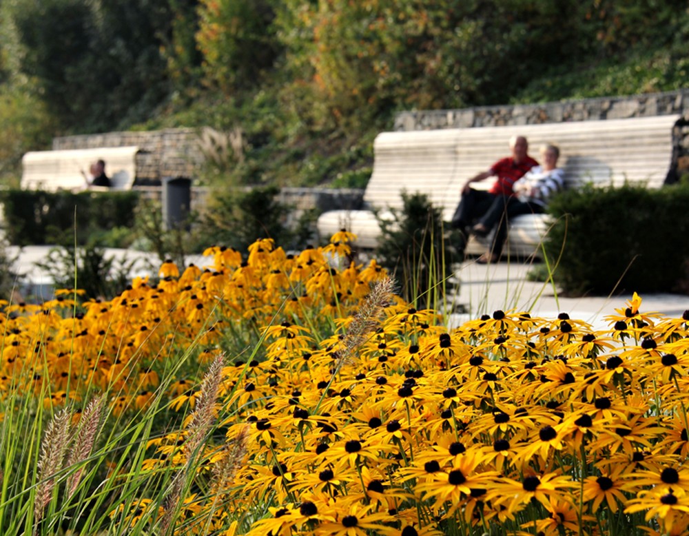 Sundern, Sorpesee Promenade