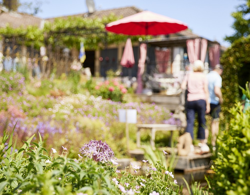 Tag der Gärten und Parks in Westfalen-Lippe 2023 - im Garten Brandt in Salzkotten