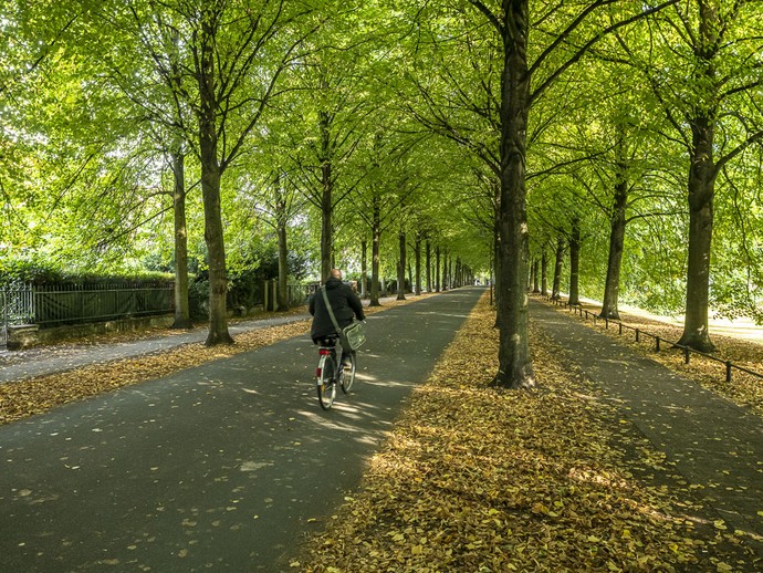 Promenade Münster, Radfahrer