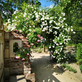 Olsberg, Sauerländer Blütengarten