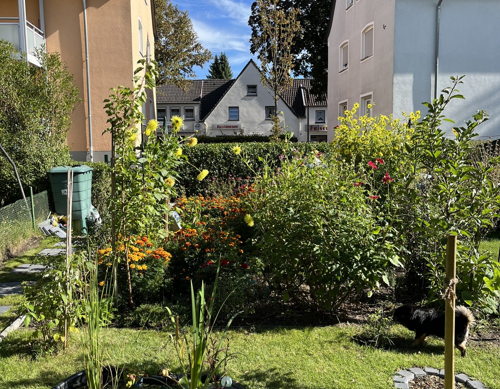 Lünen, Schrebergarten Siwiec