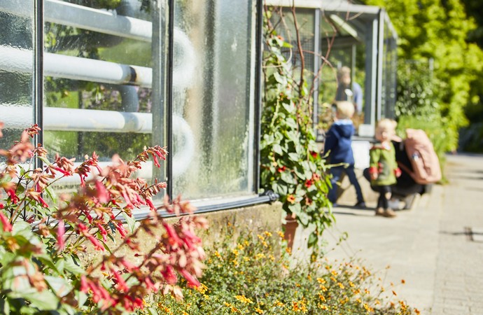 "Tage der Gärten und Parks in Westfalen-Lippe" Botanischer Garten Münster