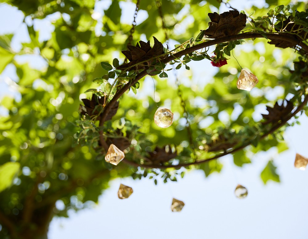 Tag der Gärten und Parks in Westfalen-Lippe 2023 - im Garten Brandt in Salzkotten