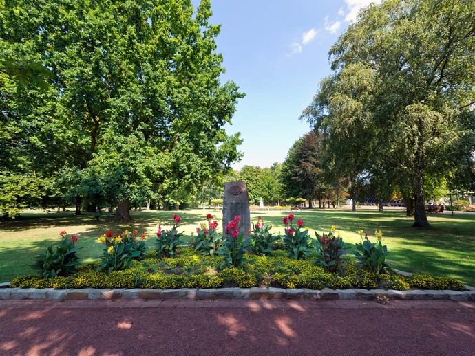 Wildblumenwiese im Kurpark Erwitte-Bad Westernkotten.